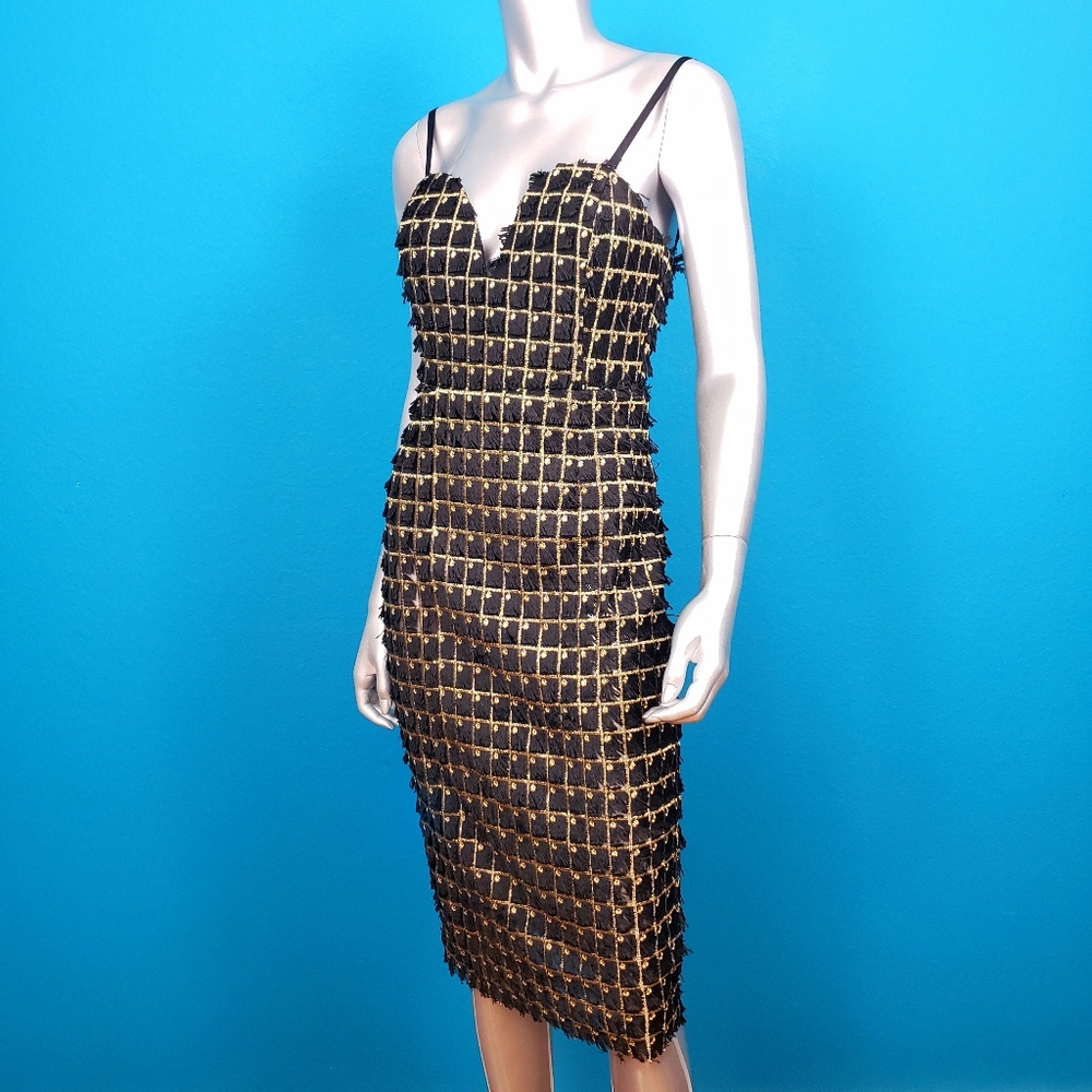 🆕️ 🌠 OPULENCE Embroidered Metallic Gold Midi Cocktail Dress w/ Fringe // (NWT)